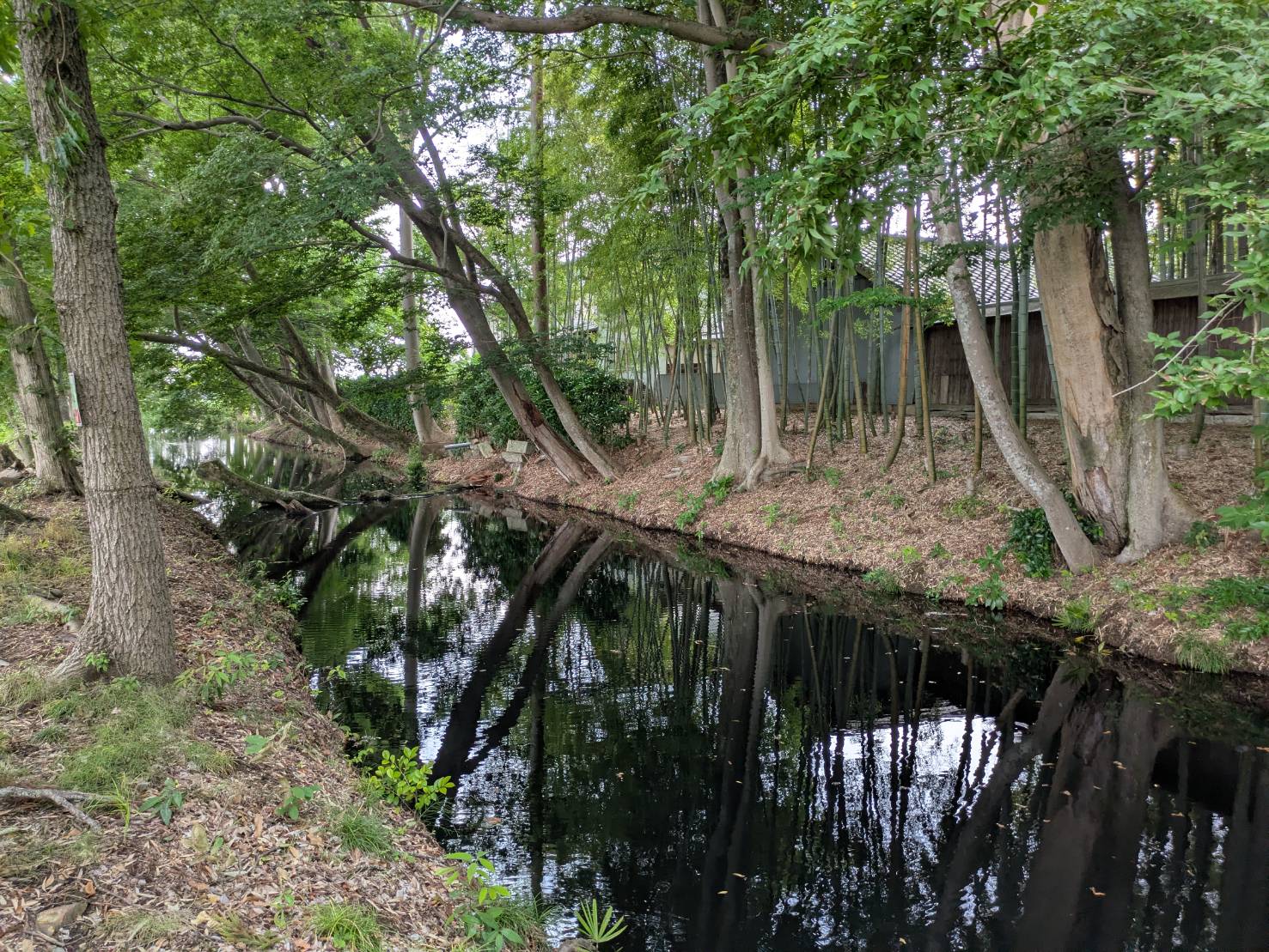 敷地を囲む堀と木々
